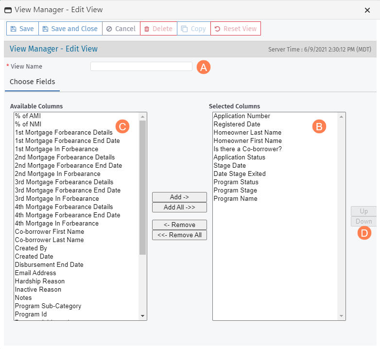 Plus-DV-View-Manager-edit.png